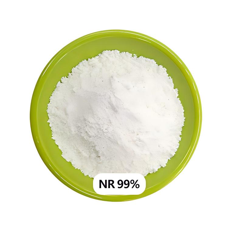 Adenosine CAS 58-61-7
